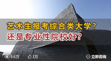 艺术生报考综合类大学？还是专业性院校好？